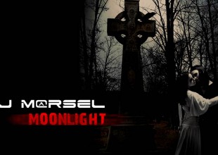 moonlight