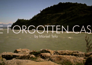 The Forgotten Castle